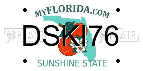 DSKI76 Florida License Plate