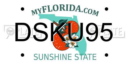 DSKU95 Florida License Plate