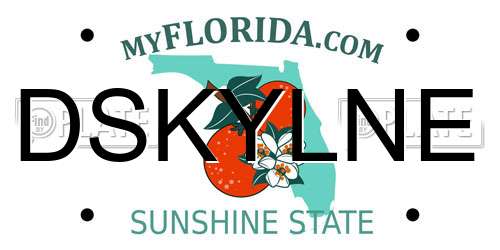 DSKYLNE Florida License Plate