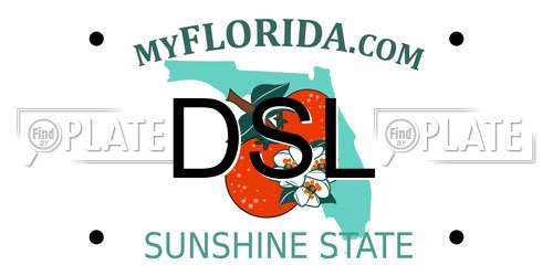 DSL Florida License Plate