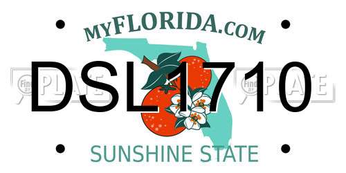 DSL1710 Florida License Plate