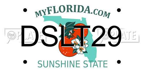 DSLT29 Florida License Plate