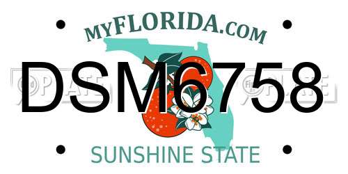 DSM6758 Florida License Plate