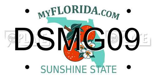 DSMG09 Florida License Plate