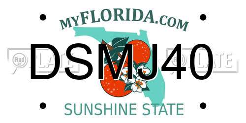 DSMJ40 Florida License Plate