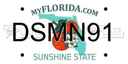 DSMN91 Florida License Plate