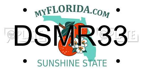 DSMR33 Florida License Plate