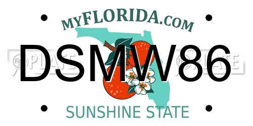 DSMW86 Florida License Plate