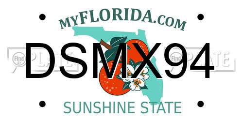 DSMX94 Florida License Plate