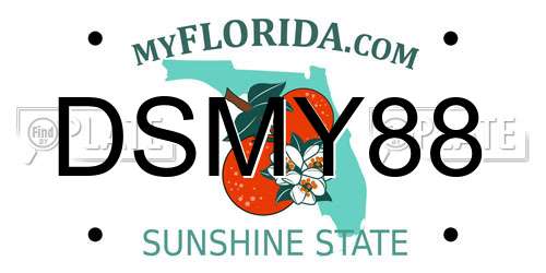 DSMY88 Florida License Plate