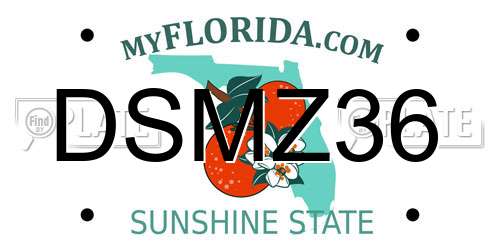 DSMZ36 Florida License Plate