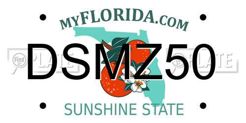 DSMZ50 Florida License Plate
