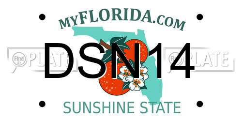 DSN14 Florida License Plate