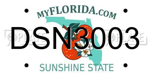 DSN3003 Florida License Plate