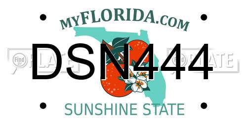 DSN444 Florida License Plate