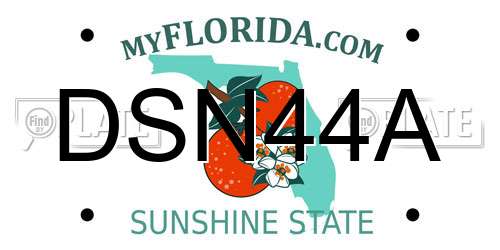 DSN44A Florida License Plate