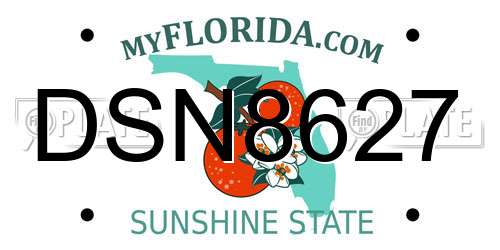DSN8627 Florida License Plate
