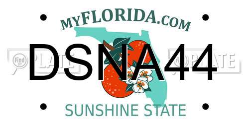 DSNA44 Florida License Plate