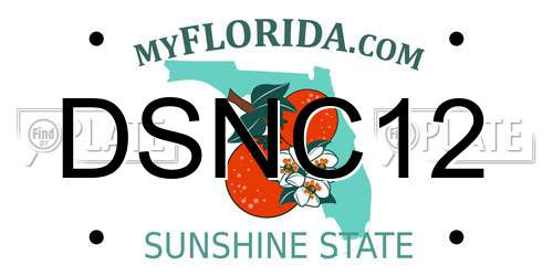 DSNC12 Florida License Plate