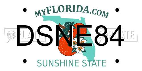 DSNE84 Florida License Plate