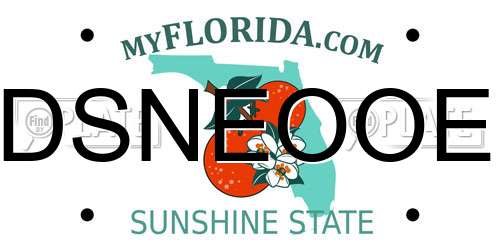DSNEOOE Florida License Plate