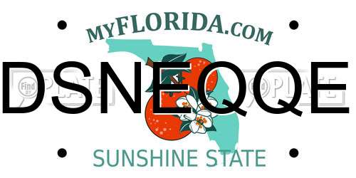 DSNEQQE Florida License Plate