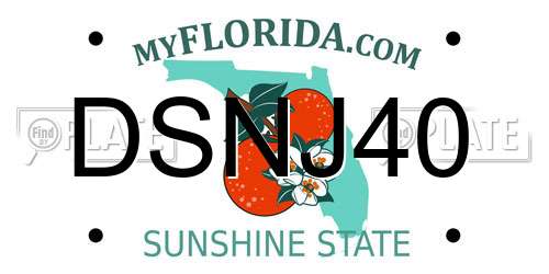 DSNJ40 Florida License Plate