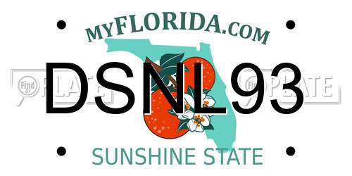 DSNL93 Florida License Plate
