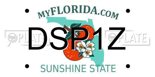 DSP1Z Florida License Plate