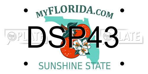 DSP43 Florida License Plate