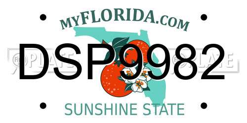 DSP9982 Florida License Plate