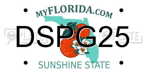 DSPG25 Florida License Plate