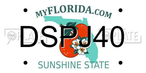 DSPJ40 Florida License Plate
