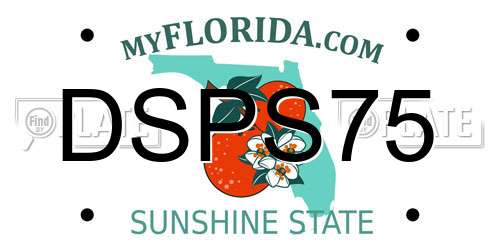 DSPS75 Florida License Plate