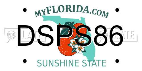 DSPS86 Florida License Plate
