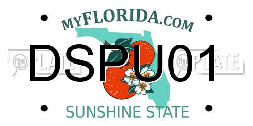 DSPU01 Florida License Plate