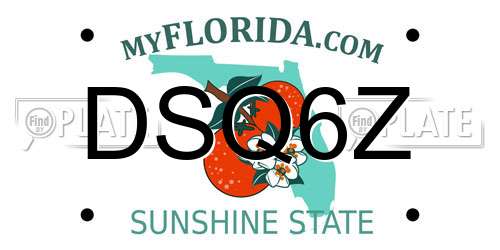 DSQ6Z Florida License Plate