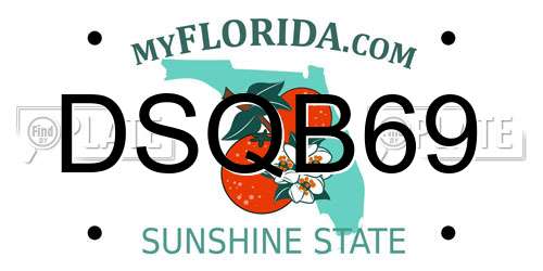 DSQB69 Florida License Plate
