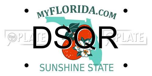 DSQR Florida License Plate