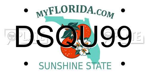 DSQU99 Florida License Plate