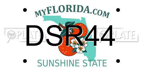 DSR44 Florida License Plate