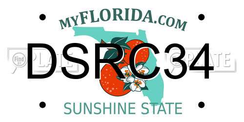 DSRC34 Florida License Plate