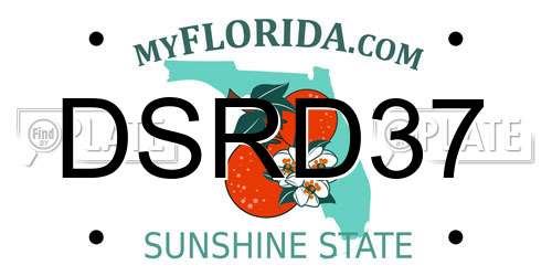 DSRD37 Florida License Plate
