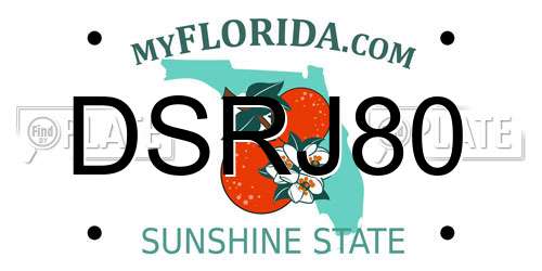 DSRJ80 Florida License Plate