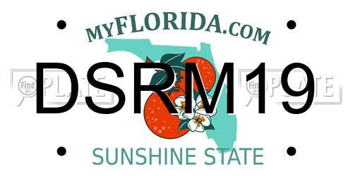 DSRM19 Florida License Plate