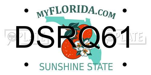 DSRQ61 Florida License Plate