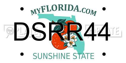 DSRR44 Florida License Plate