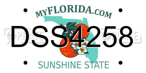 DSS4258 Florida License Plate