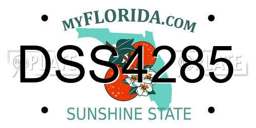 DSS4285 Florida License Plate