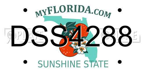 DSS4288 Florida License Plate